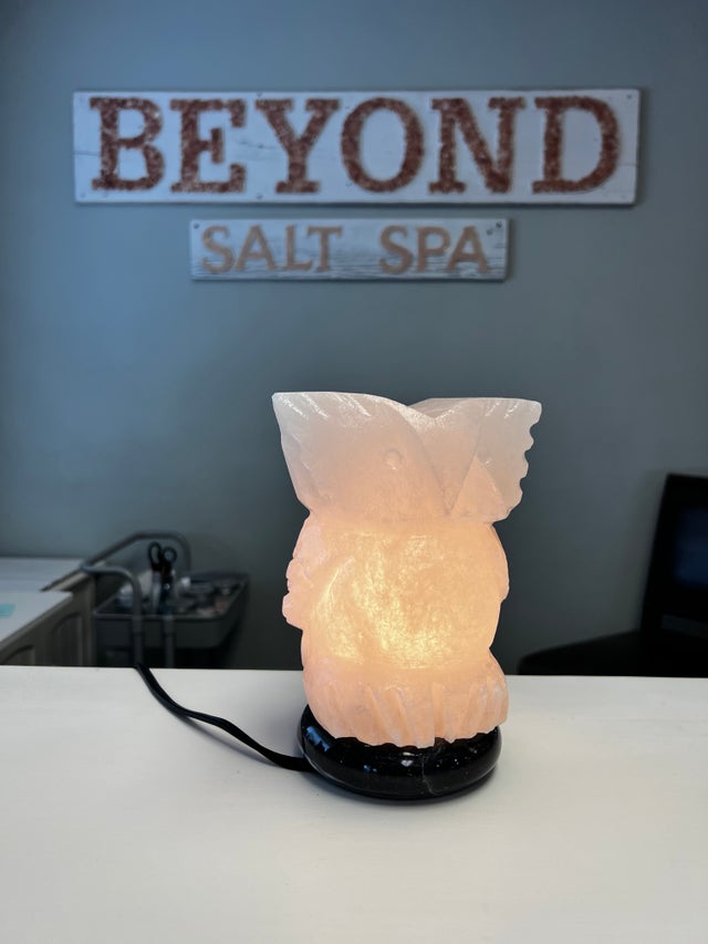 Owl salt lamp hotsell